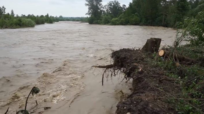 Буковина: Прут виходить  із берегів